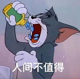 汤姆猫吃哈密瓜视频大全,哈密瓜盛宴视频大盘点