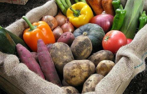 中午吃瓜协会视频,揭秘“中午吃瓜协会”视频背后的趣味与热议