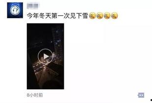 初雪吃瓜群众的视频下载,揭秘热门事件幕后真相