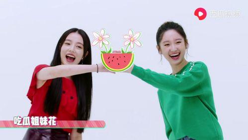 青春吃瓜视频,揭秘校园热点事件背后的真相