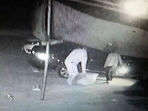 惠州水城吃瓜事件视频,一场引发热议的网络视频风波