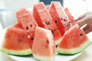 西北吃瓜事件始末视频播放,一场网络热议的始末揭秘